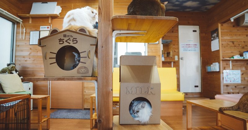 猫カフェちぐら の新着タグ記事一覧 Note つくる つながる とどける
