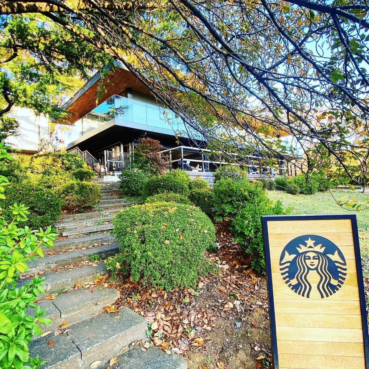 東京建築巡り 持続可能なカフェの在り方を追求したスタバ Tanrock 東京の建築 アート巡りオタク Note
