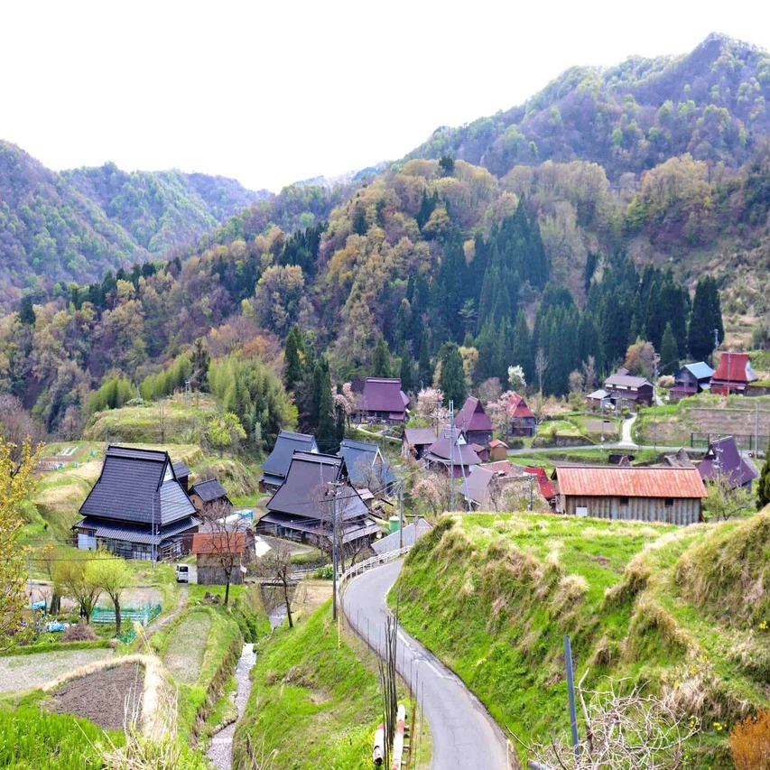世 屋 高原