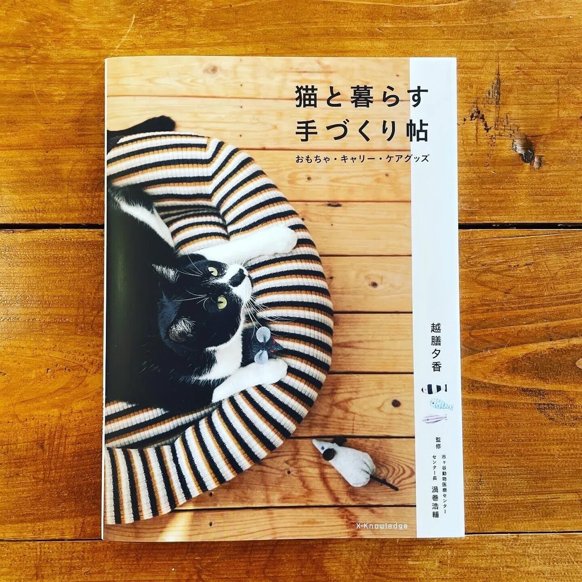 画像5