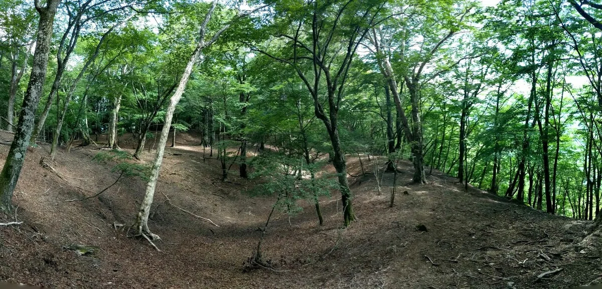 画像7