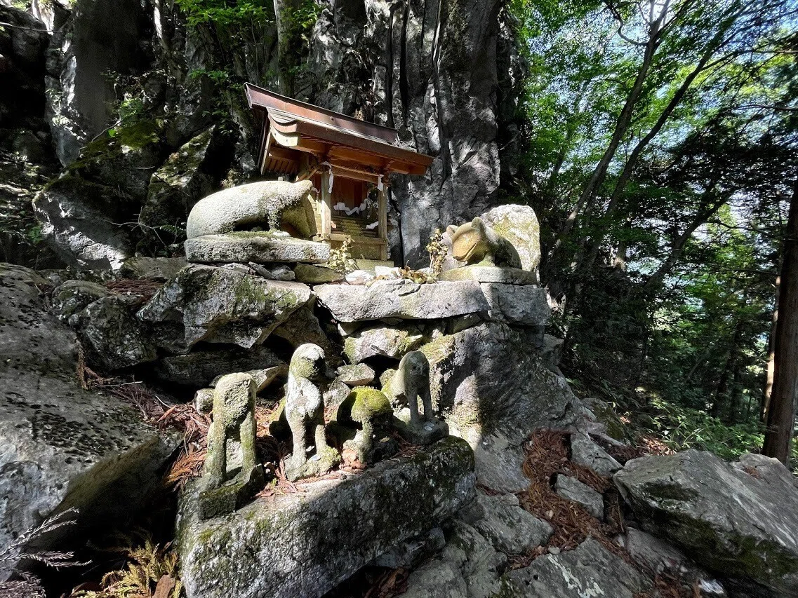 画像8