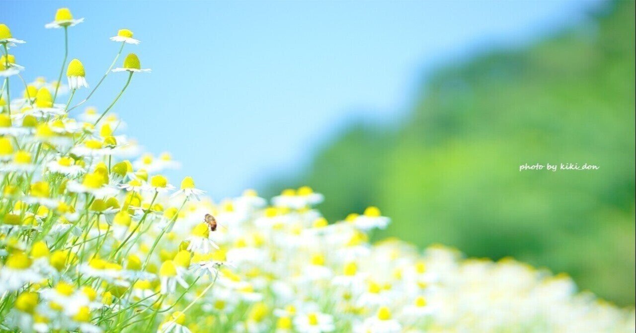 表現の自由 自粛 忖度 読み返したら 現代にピッタリだった 図書館戦争 のべ Note 表現の自由 自粛 忖度 読み返したら 現代にピッタリだった 図書館戦争 のべ Note