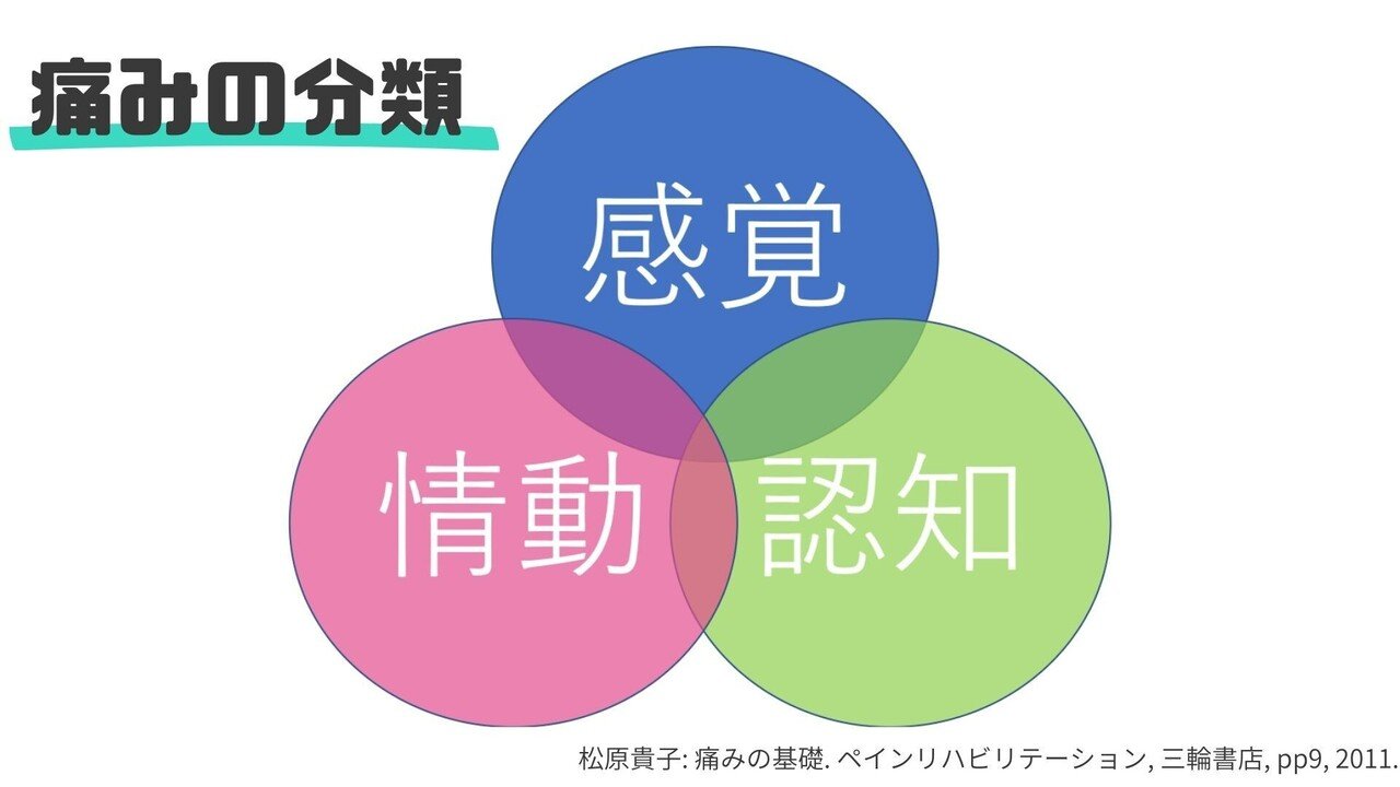 慢性腰痛の理解と運動療法｜樋口 翔太