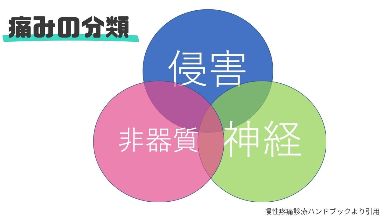 慢性腰痛の理解と運動療法｜樋口 翔太