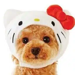 今こそ推そう大久保波留①｜まましだ