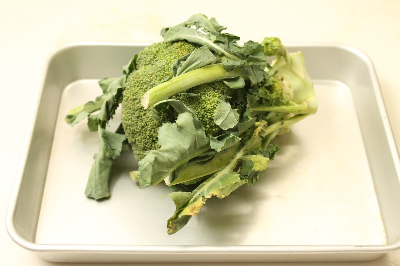 ブロッコリーは茹でるのがベター 樋口直哉 Travelingfoodlab Note ブロッコリーは茹でるのがベター 樋口直哉 Travelingfoodlab Note