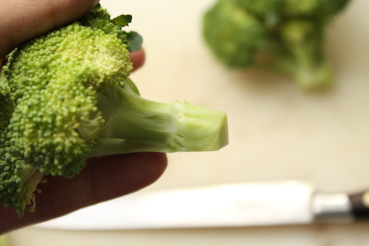 ブロッコリーは茹でるのがベター 樋口直哉 Travelingfoodlab Note ブロッコリーは茹でるのがベター 樋口直哉 Travelingfoodlab Note