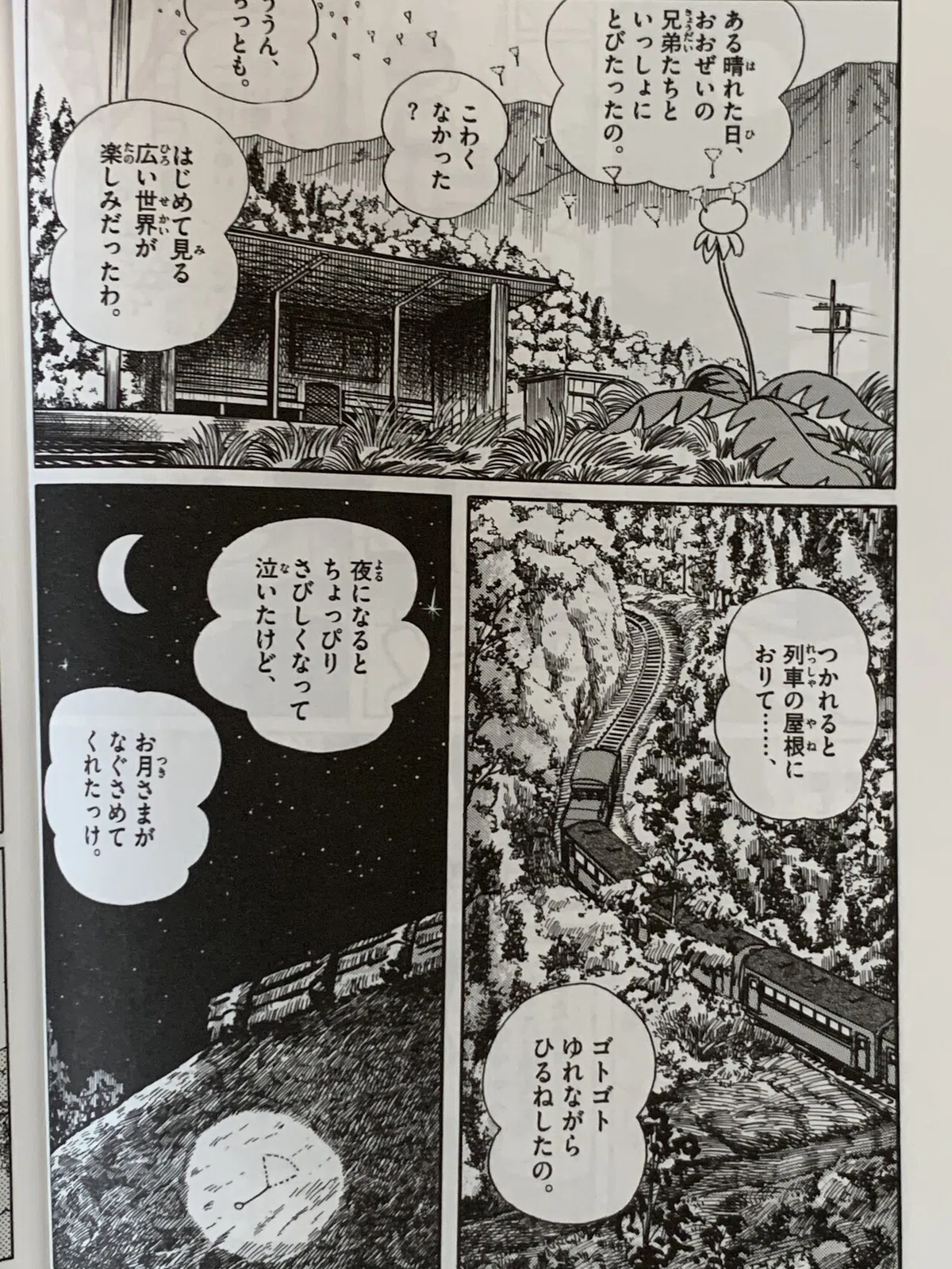 画像7