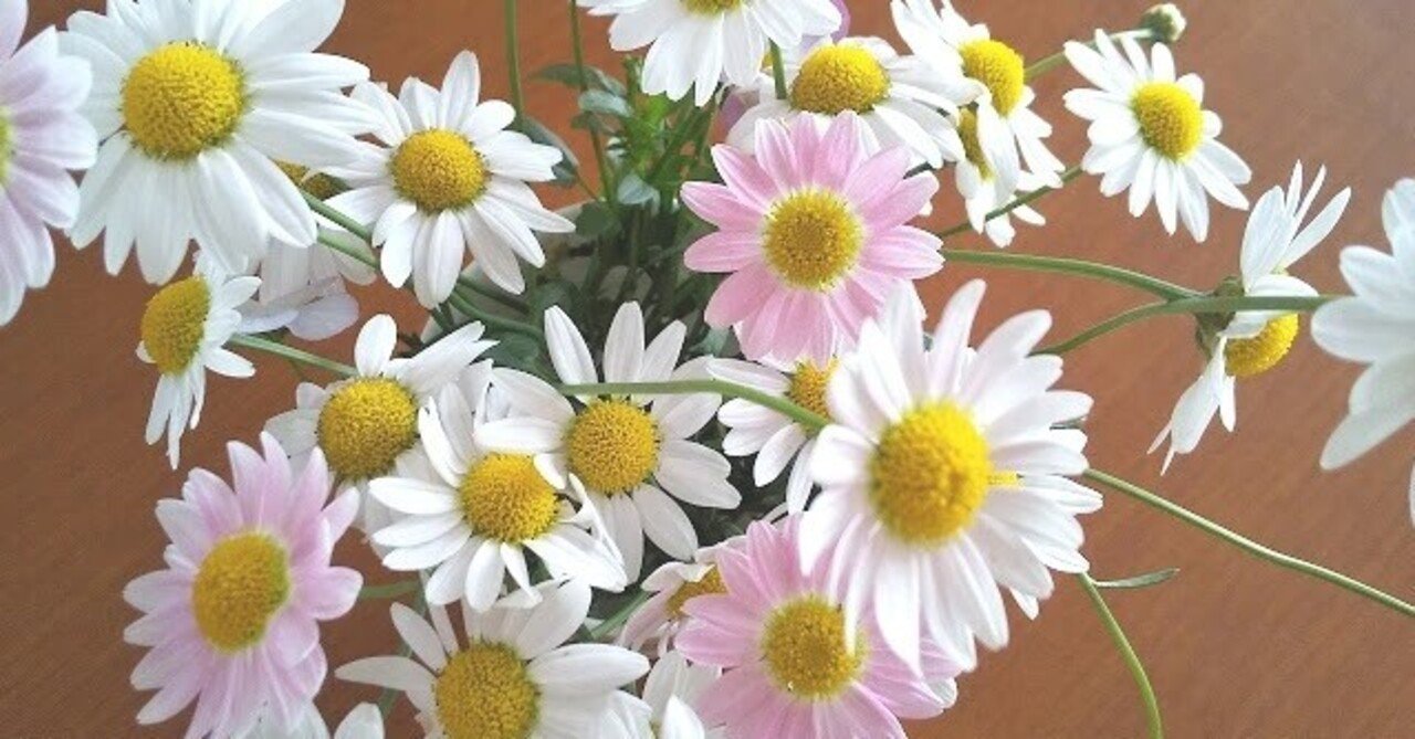 小6の問題が解けますか のりこ Note 小6の問題が解けますか のりこ Note