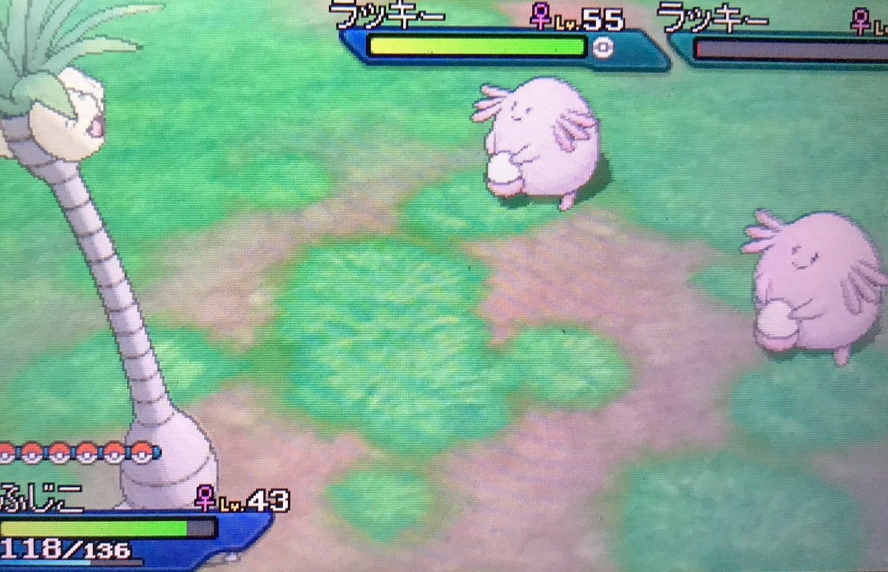 効率の良いレベル上げとしあわせたまごのゲットを両立する ふにでぐ Note 効率の良いレベル上げとしあわせたまごのゲットを両立する ふにでぐ Note