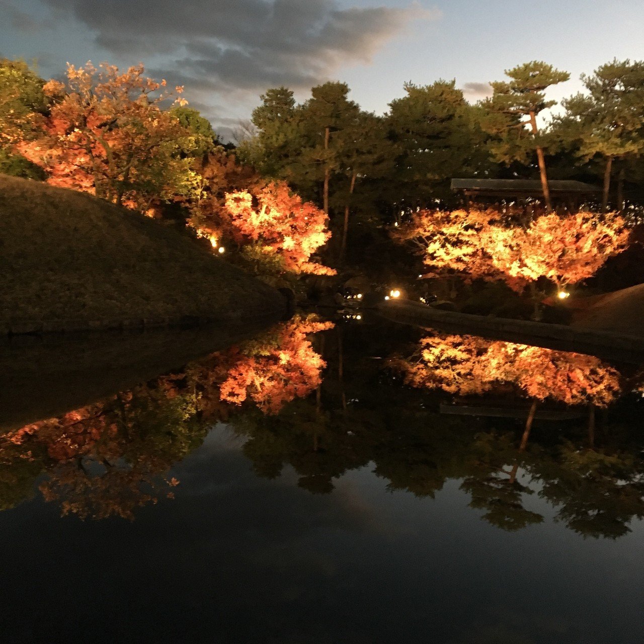 梅小路公園の朱雀の庭 紅葉ライトアップイベント 水鏡に映る紅葉が とても綺麗でした 今年はもう終わってしまいましたが 来年是非行ってみてください 梅小路公園 朱雀の庭 紅葉まつり Suna Note