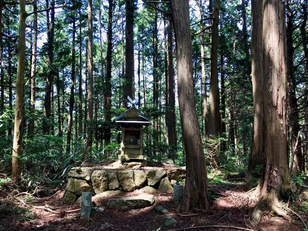画像3