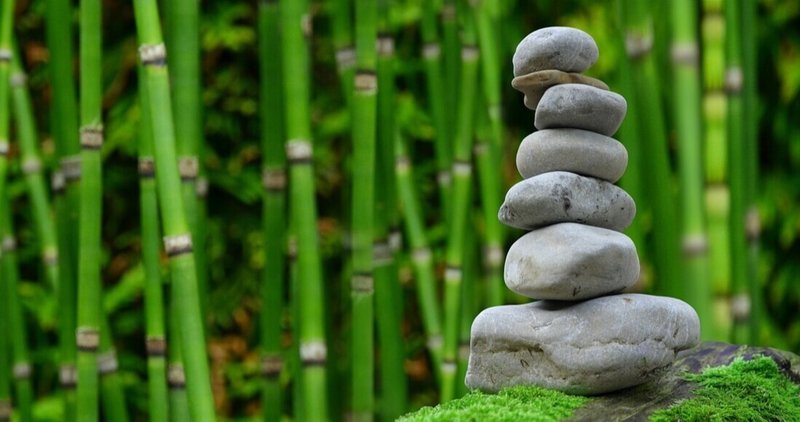 まちづくりは最高の暇つぶし 旅する教師が出会った言葉 なかがわ さとゆき Note