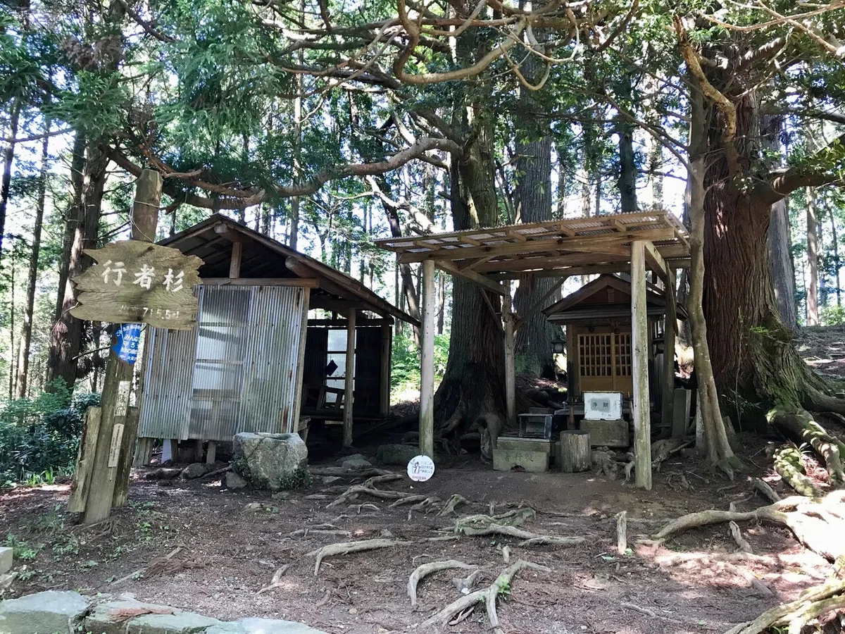 画像4
