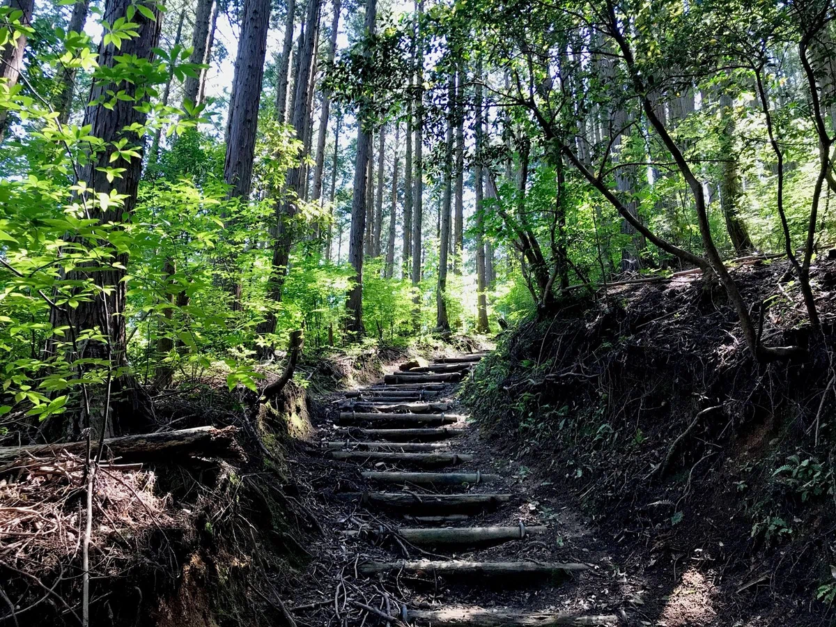 画像6