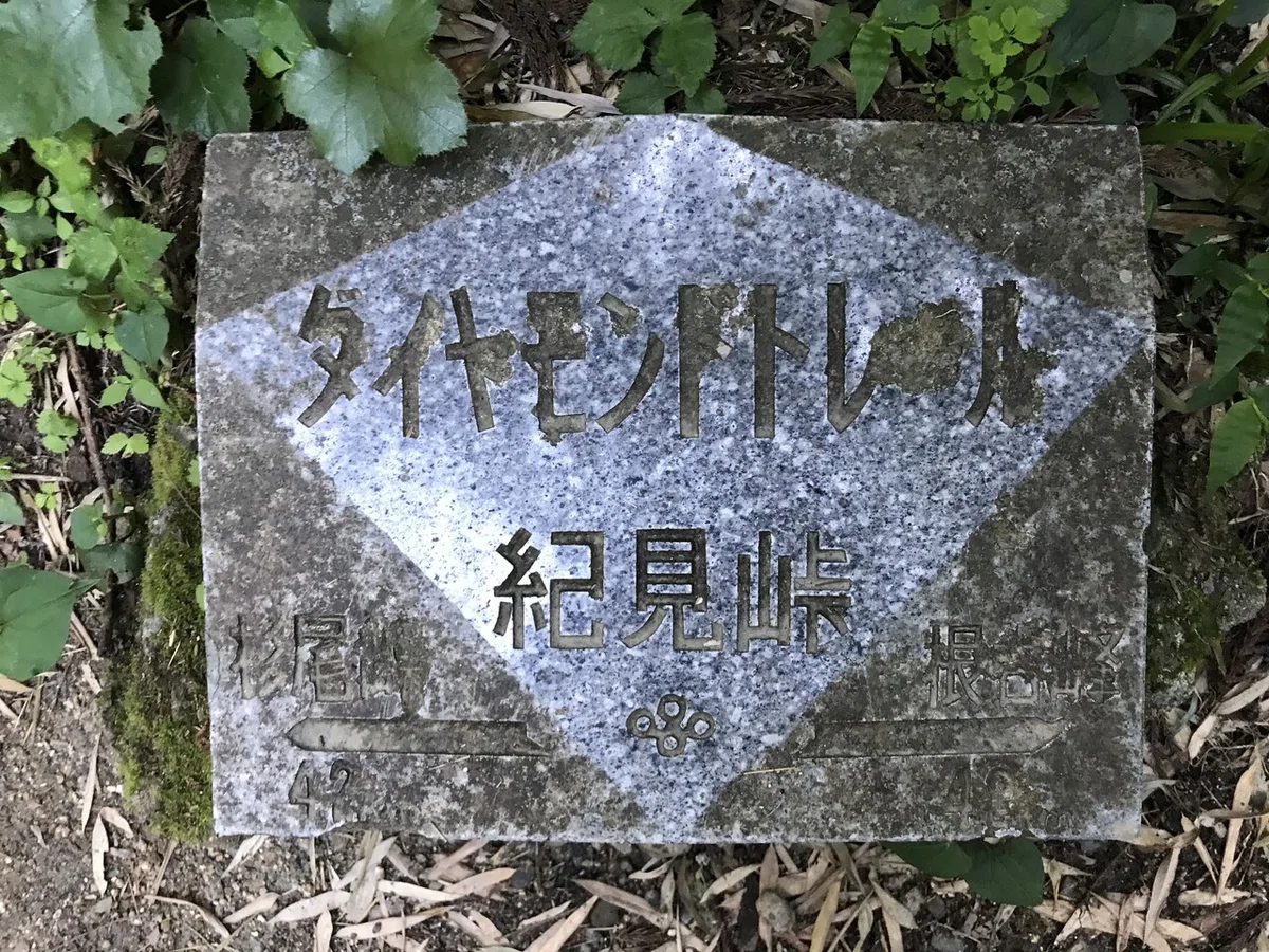 画像11