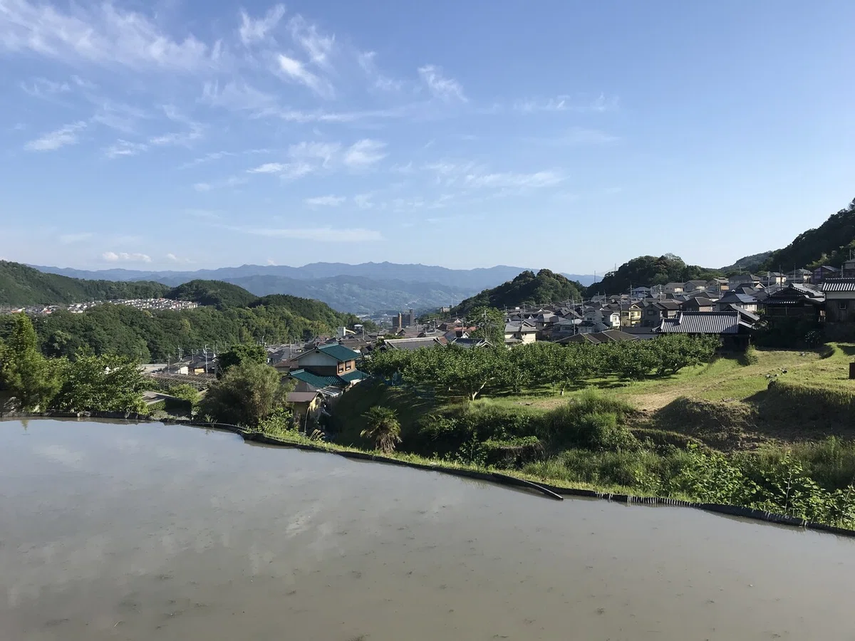 画像14