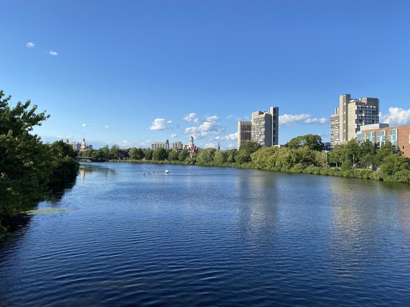 近所の風景