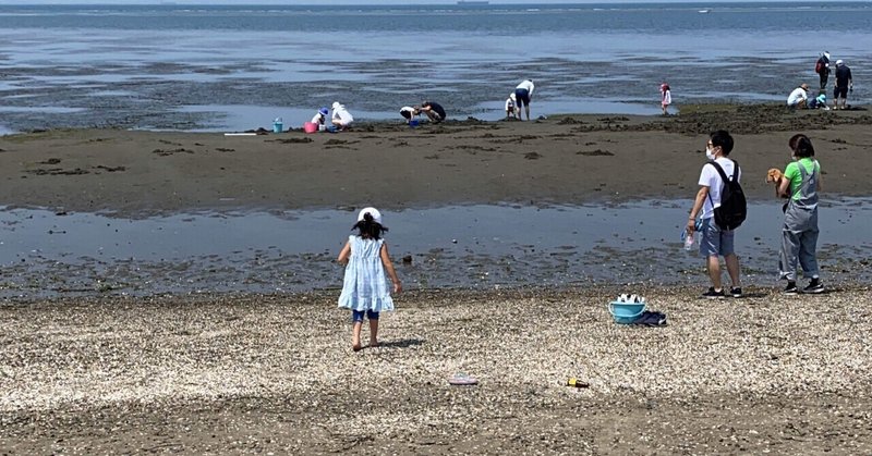 【セカンドハウス買ってみた。デュアラー生活：完成まで残り61日】第107回 初　富津公園と潮干狩り？に行ってみた