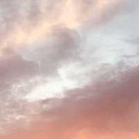 ヤシの木に降る雪 Green Moon Room Note