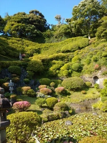 画像2