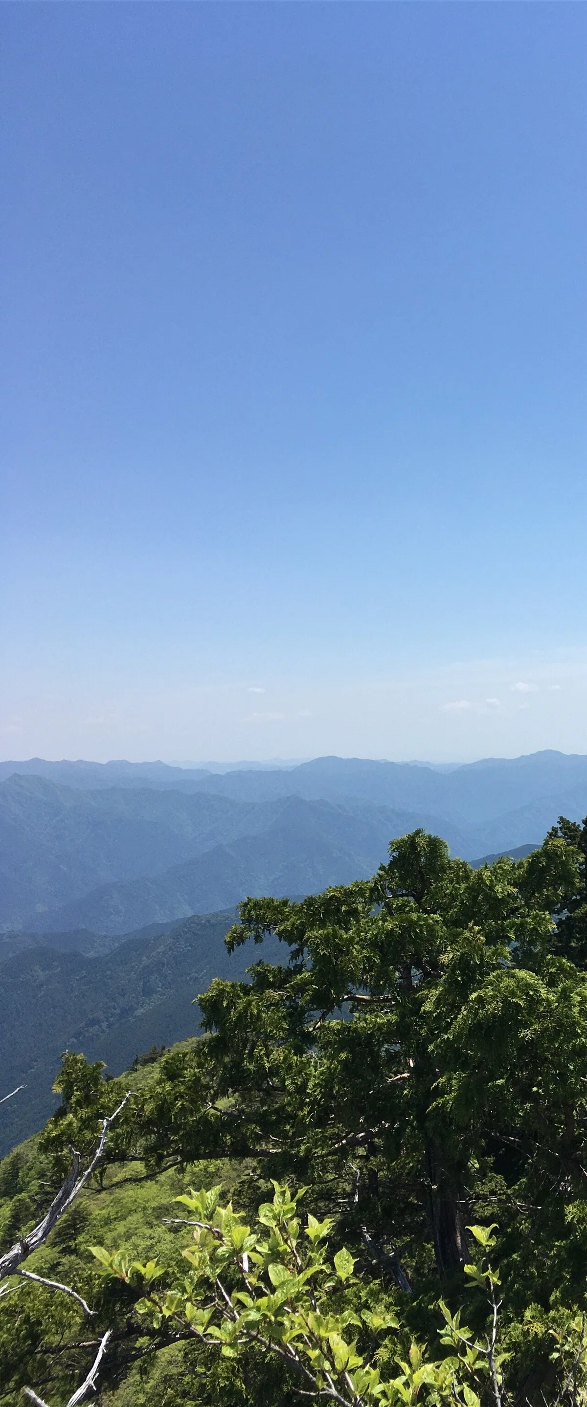 画像10