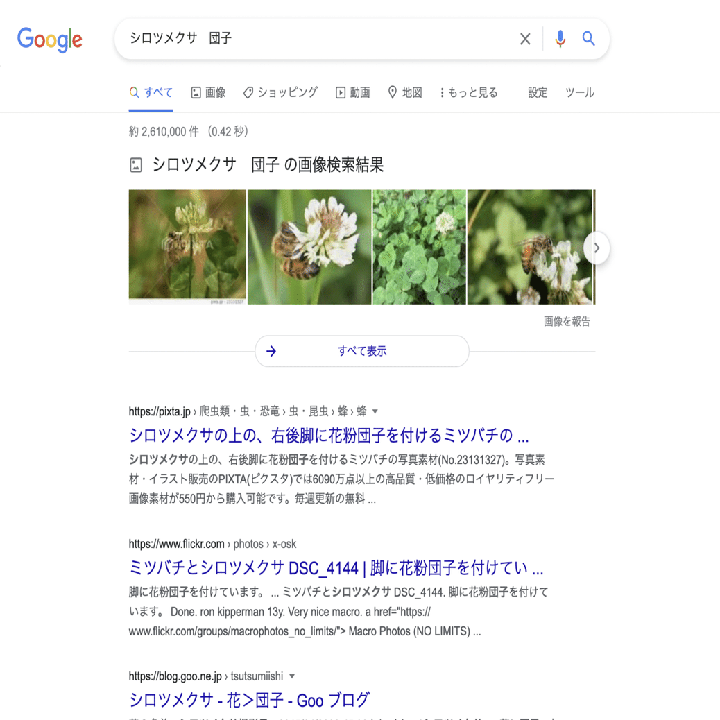 授業制作チームも探究 世界初 シロツメクサを食べてみた 探究学舎 Note