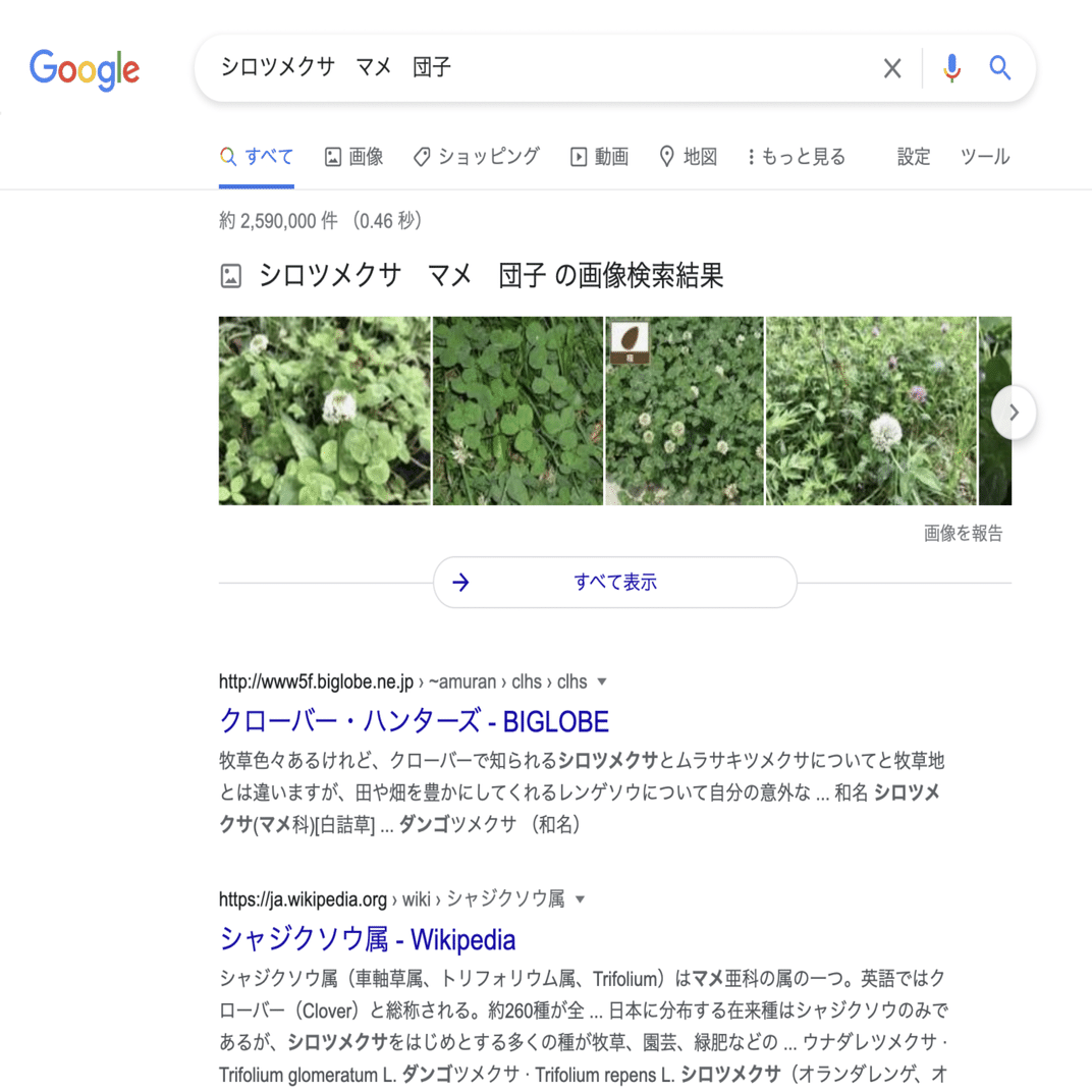 授業制作チームも探究 世界初 シロツメクサを食べてみた 探究学舎 Note
