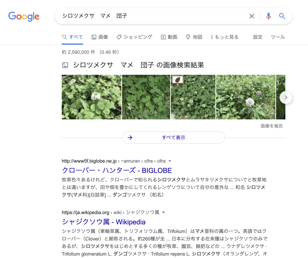 授業制作チームも探究 世界初 シロツメクサを食べてみた 探究学舎 Note 授業制作チームも探究 世界初 シロツメクサを食べてみた 探究学舎 Note