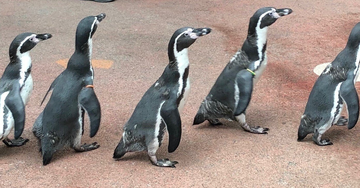 エクセル 都道府県の並び替え 思っていたのと違うんだけど いたをさん 伝説の野良パソコン講師 Note エクセル 都道府県の並び替え 思っていたのと違うんだけど いたをさん 伝説の野良パソコン講師 Note