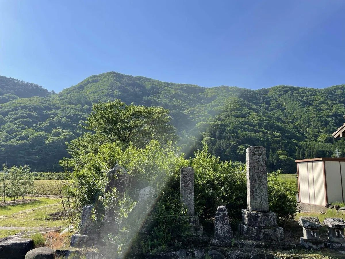 画像24