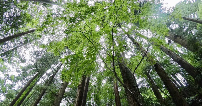為せば成る 為さねば成らぬ何事も 成らぬは人の為さぬなりけり 長門石直彦 といし note