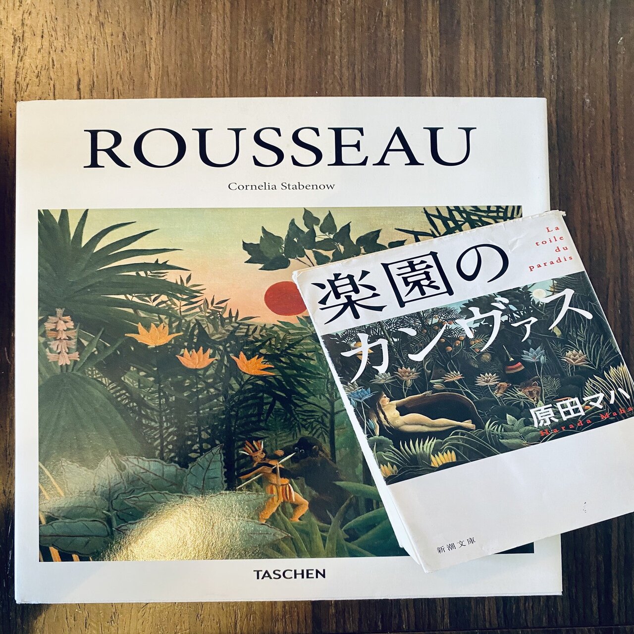 アンリ・ルソーとの出逢い｜.*✯ 𝐘𝐔𝐊𝐈𝐍𝐀 ✯.* ☽