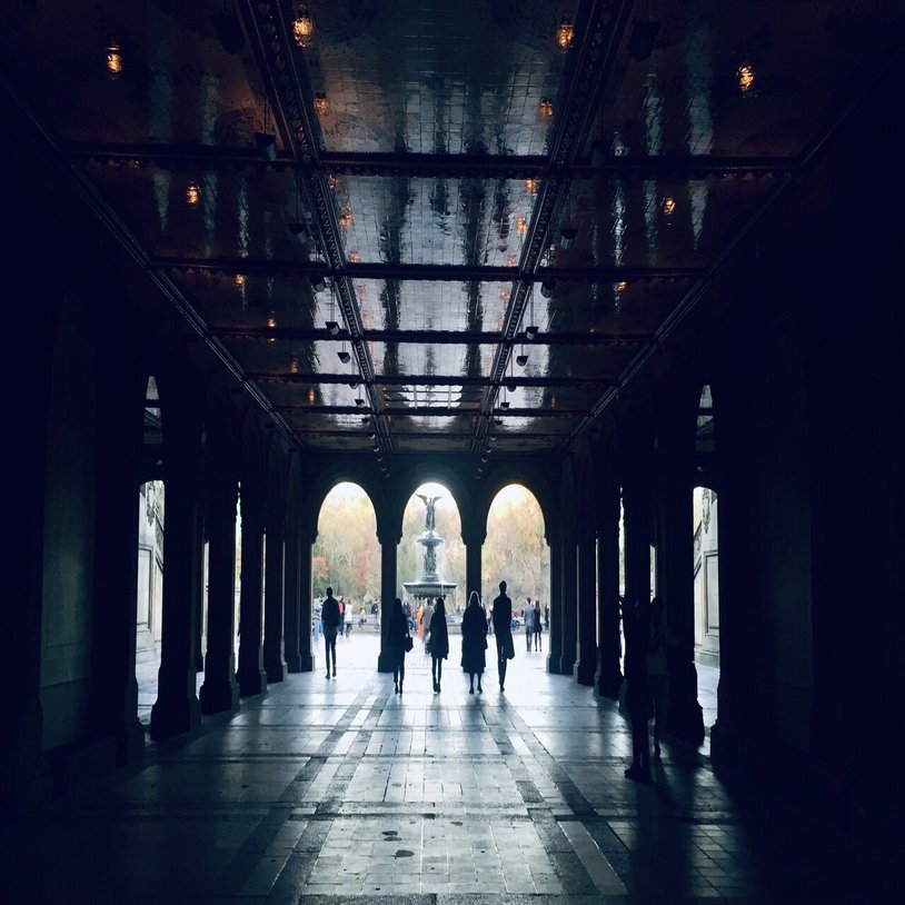 アンリ・ルソーとの出逢い｜.*✯ 𝐘𝐔𝐊𝐈𝐍𝐀 ✯.* ☽