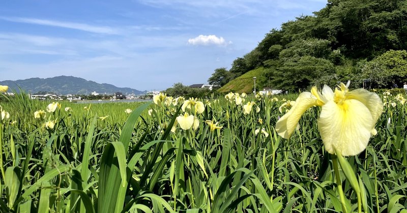 保育と育児は違う。だから素晴らしいタッグが組める。