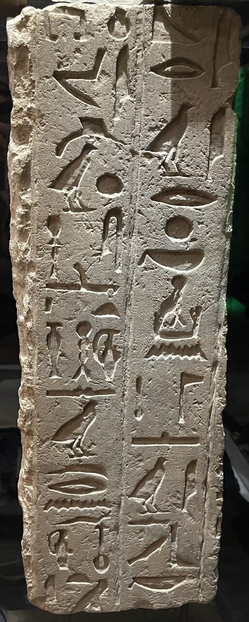 古代エジプト美術館を探検する:前編|Shelk🦋 古代エジプト美術館を探検する:前編|Shelk🦋