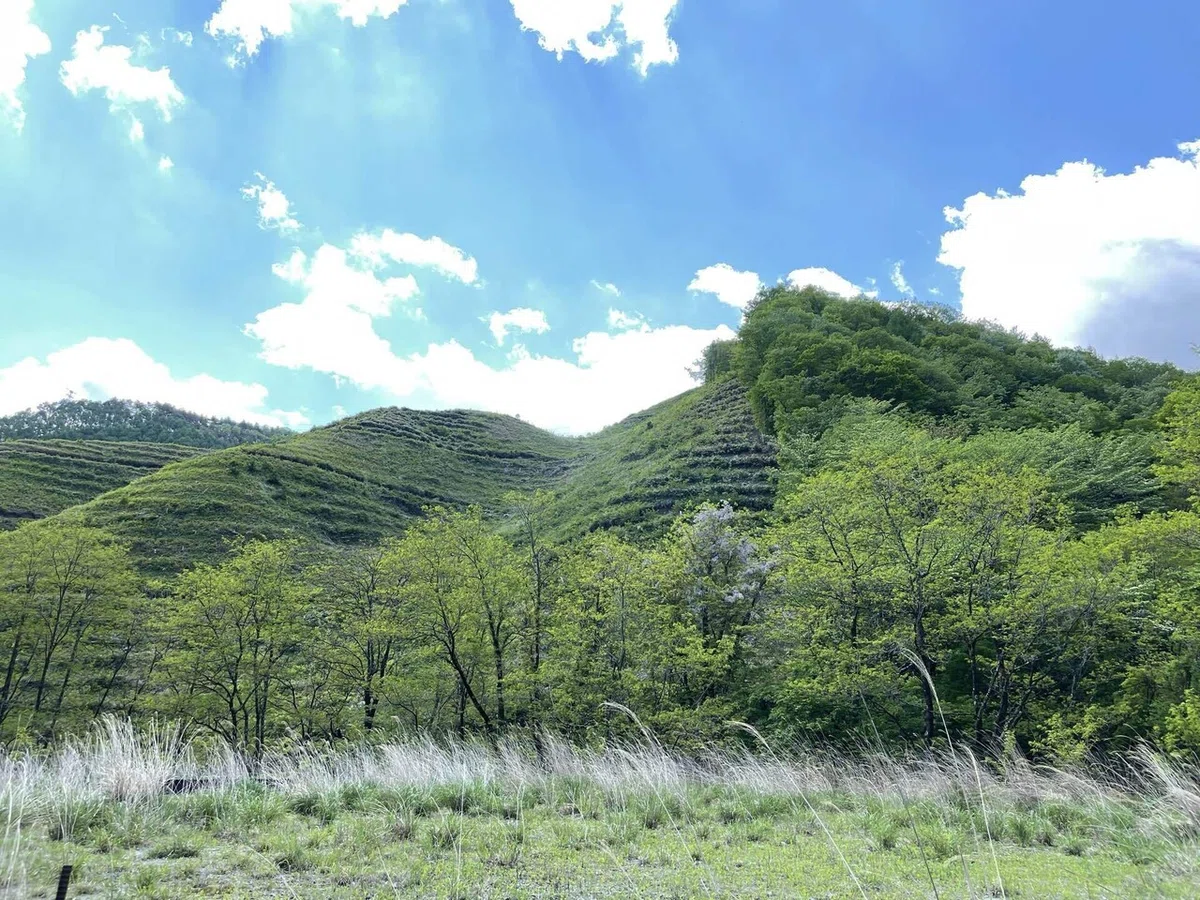 画像61