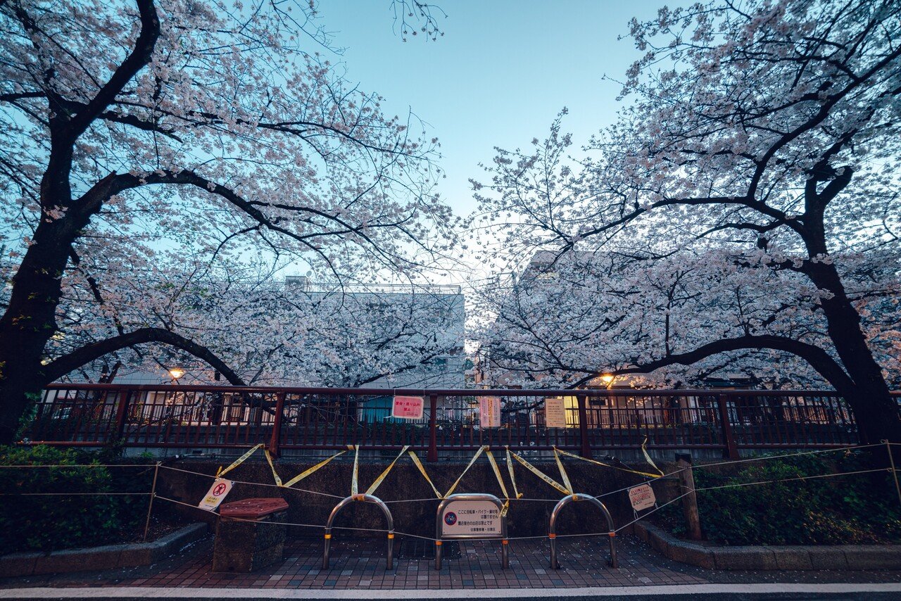 作例で魅せるレンズレビュー NiSi 15mm F4 ASPH|横田 裕市 作例で魅せるレンズレビュー NiSi 15mm F4 ASPH|横田 裕市