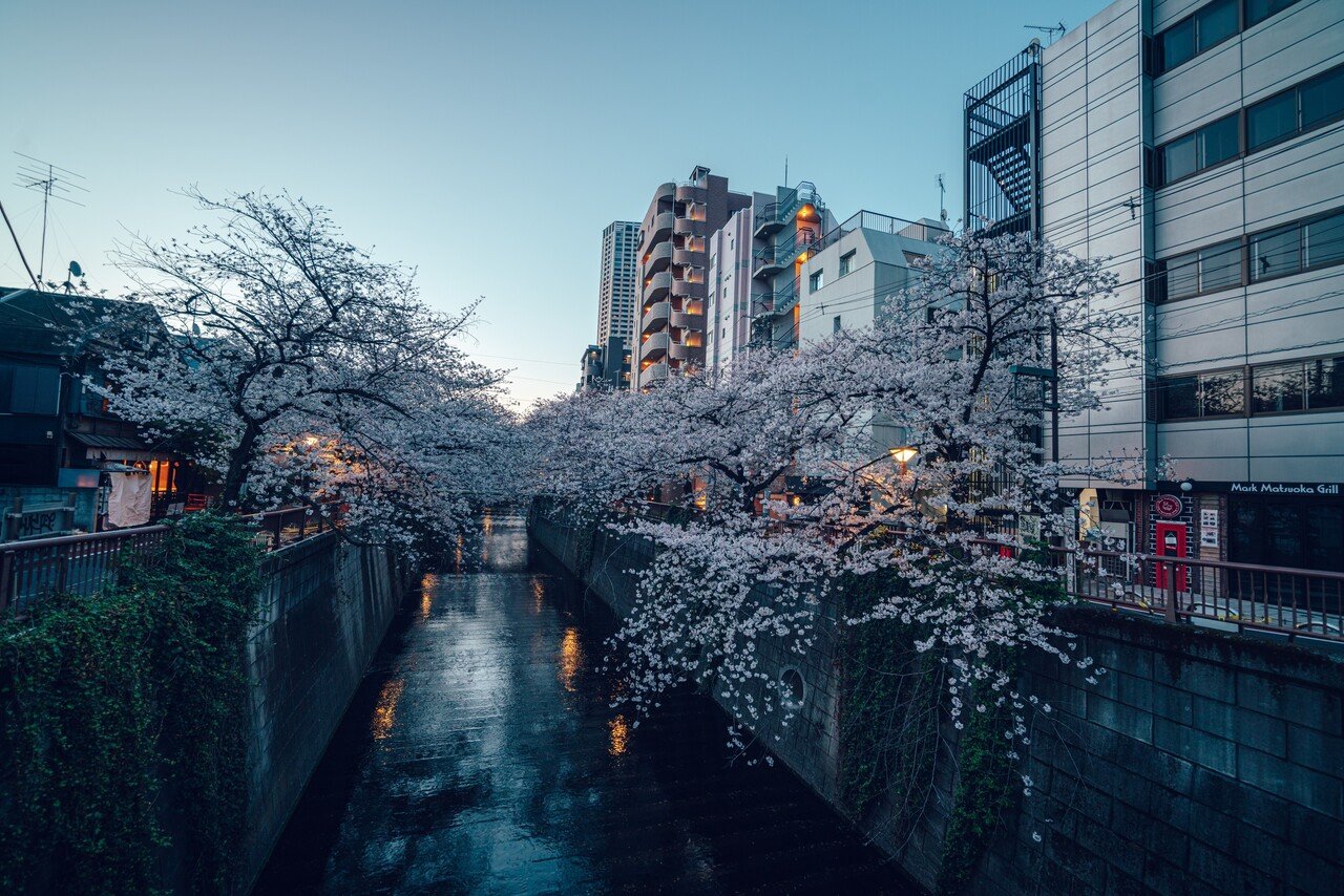 作例で魅せるレンズレビュー NiSi 15mm F4 ASPH｜横田 裕市/写真家×編集者