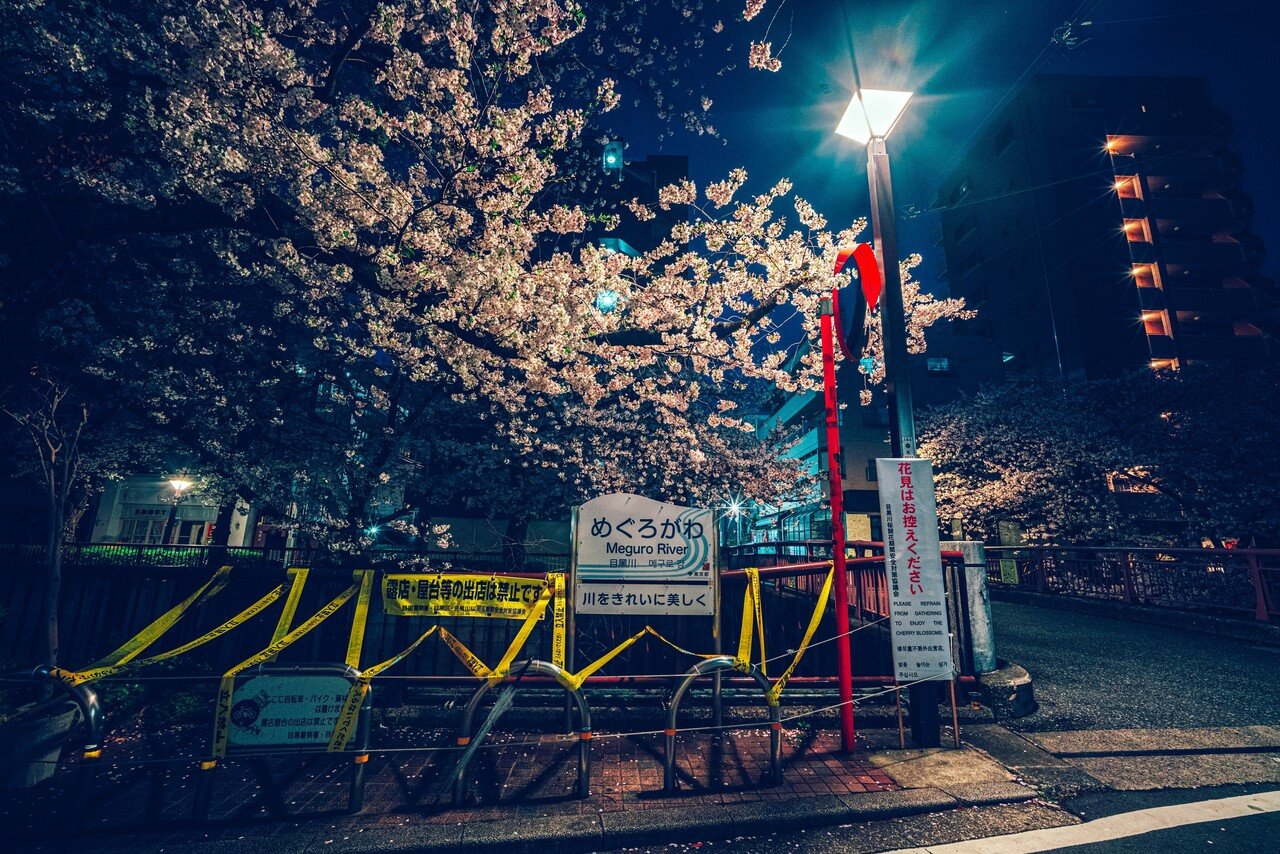 作例で魅せるレンズレビュー NiSi 15mm F4 ASPH｜横田 裕市/写真家×編集者