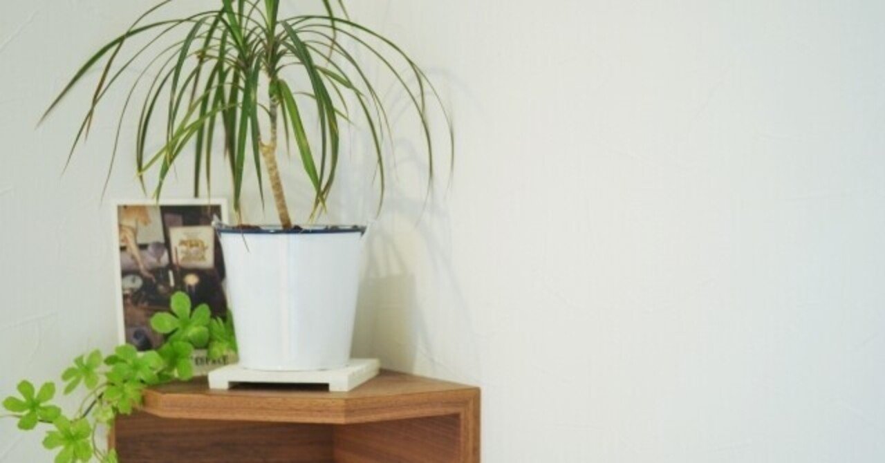 風水目線でおススメの観葉植物 トイレ編 Bobee 台湾の暮らしを日本でも Note