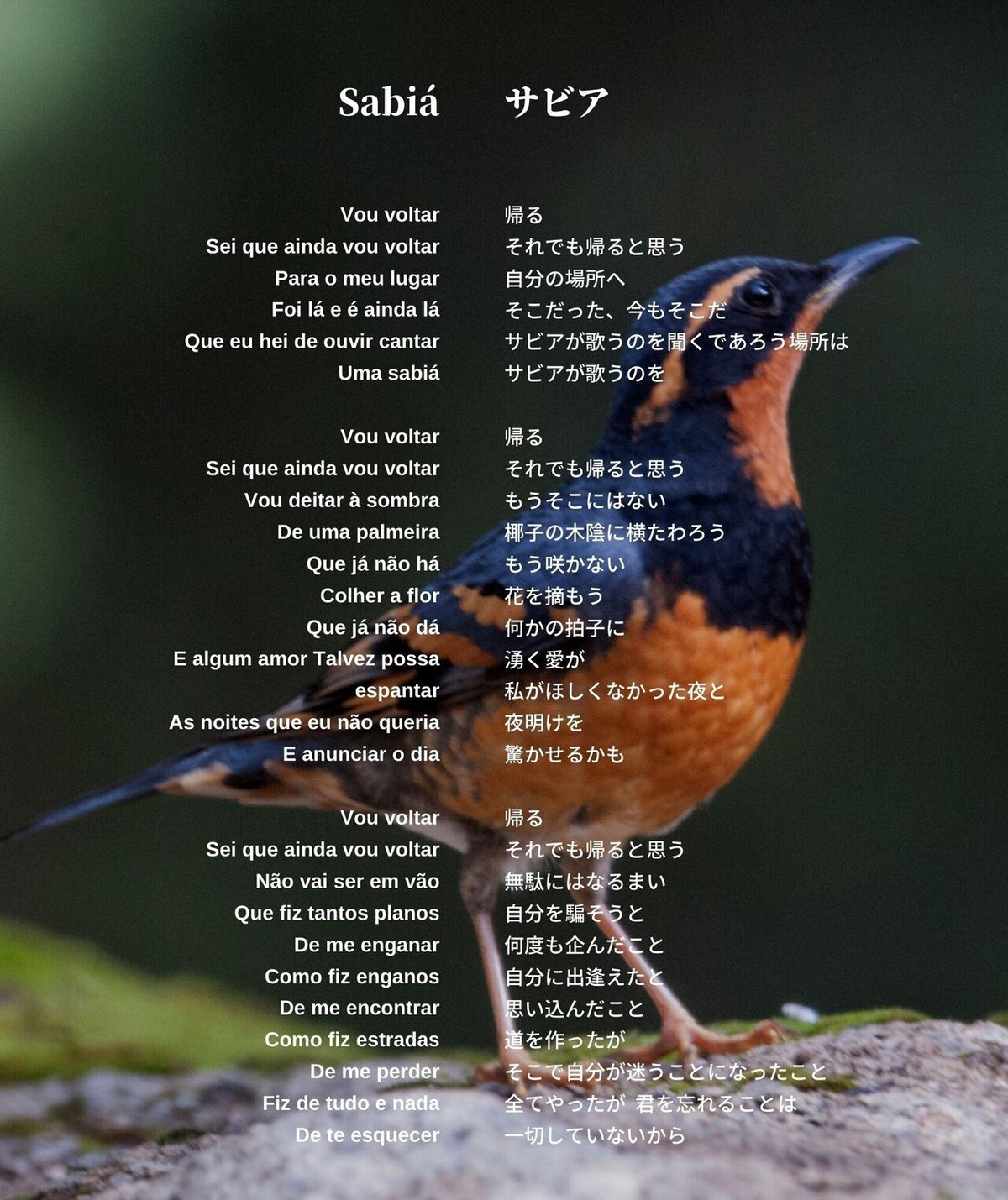 SABIA歌詞2