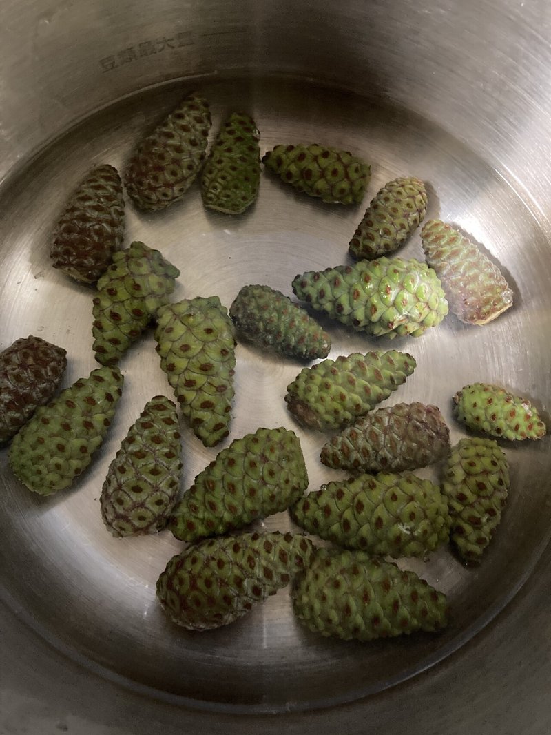 松ぼっくりをスイーツに Hirotsutsui 熊本 天草 Note