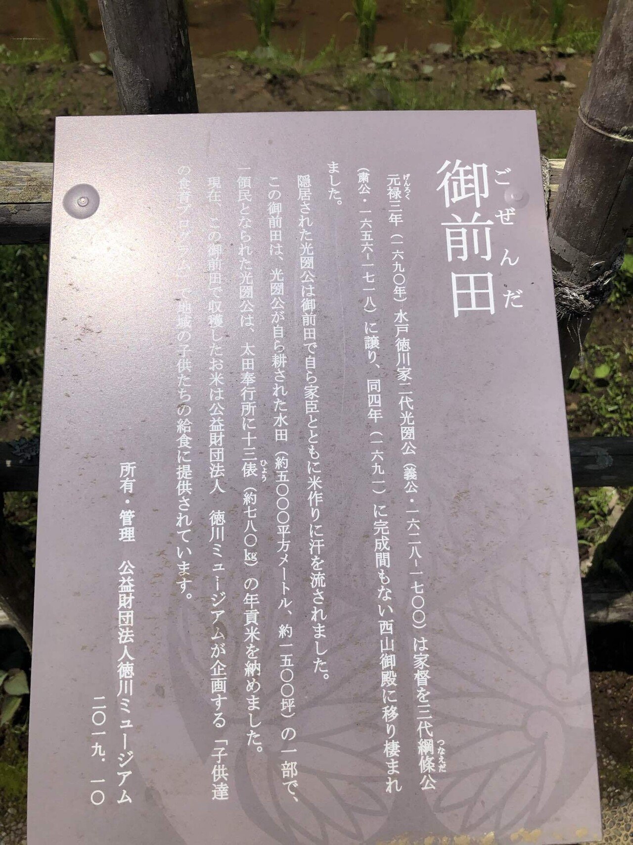 画像25