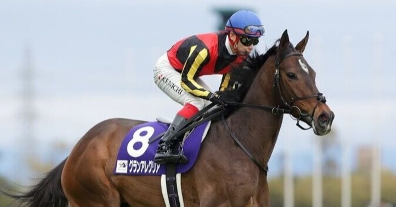 本日も安田記念の情報を公開します｜競馬探偵Kaneko｜note