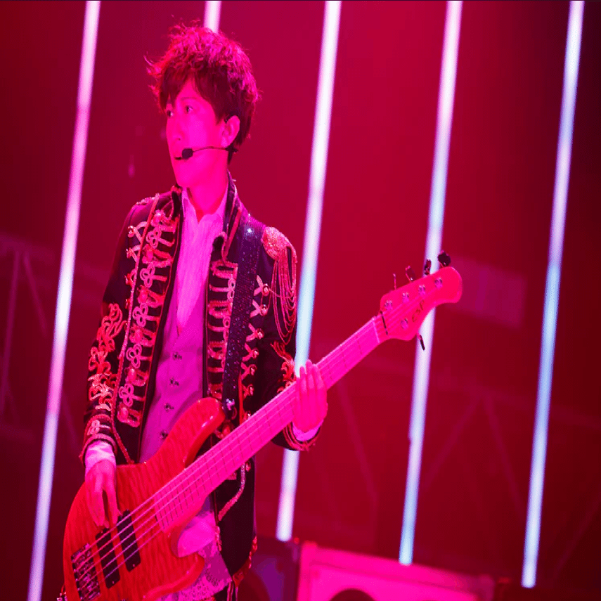 L'Arc~en~Ciel 30th L'Anniversary幕張メッセ レポートしてみた