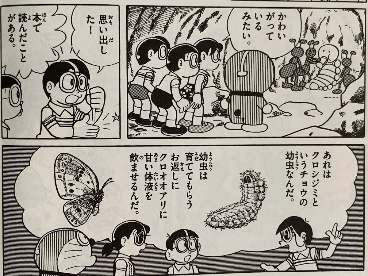 画像6