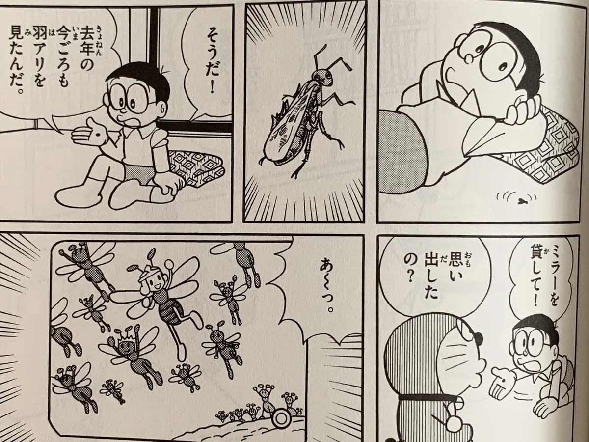 画像8