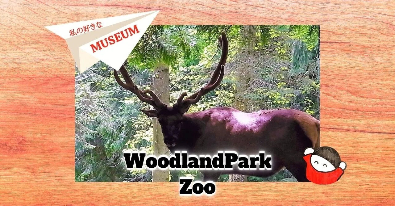 私の好きな世界のmuseum 12ウッドランドパーク動物園 シアトル しみずみえ 親子あそびの専門家 Note